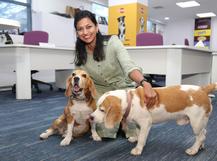 Mars Incorporated culture